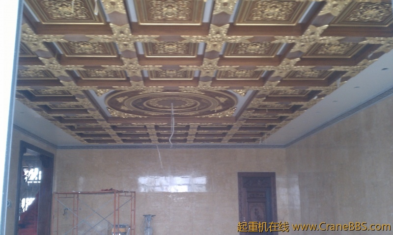 IMAG0295.jpg