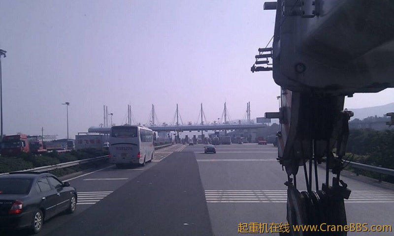 毛毛 273.jpg