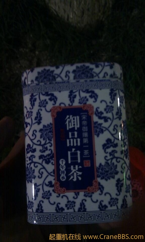 毛毛 368.jpg