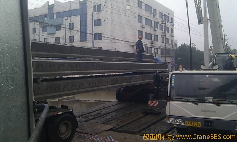 毛毛 512.jpg