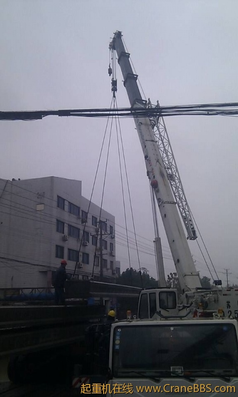 毛毛 507.jpg