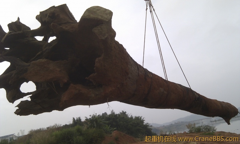 IMG_20121125_090433.jpg