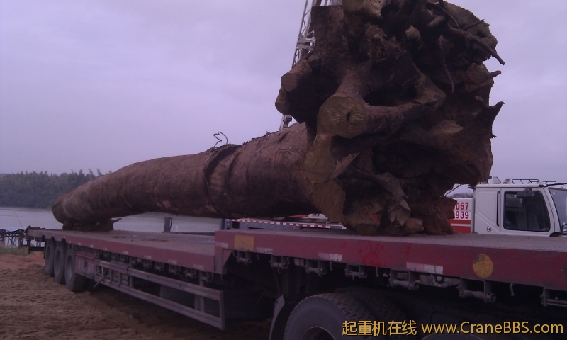 IMG_20121125_093256.jpg