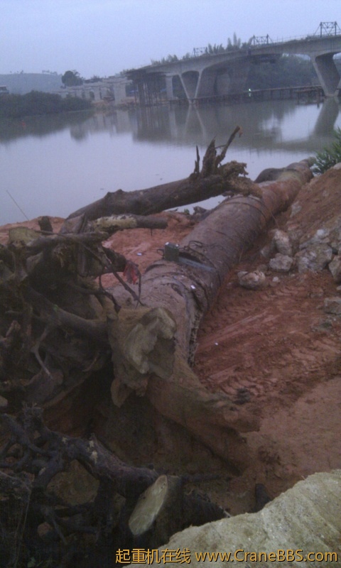 IMG_20121125_062635.jpg