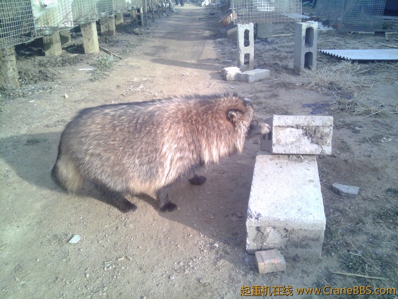 IMG_20121121_084355.jpg