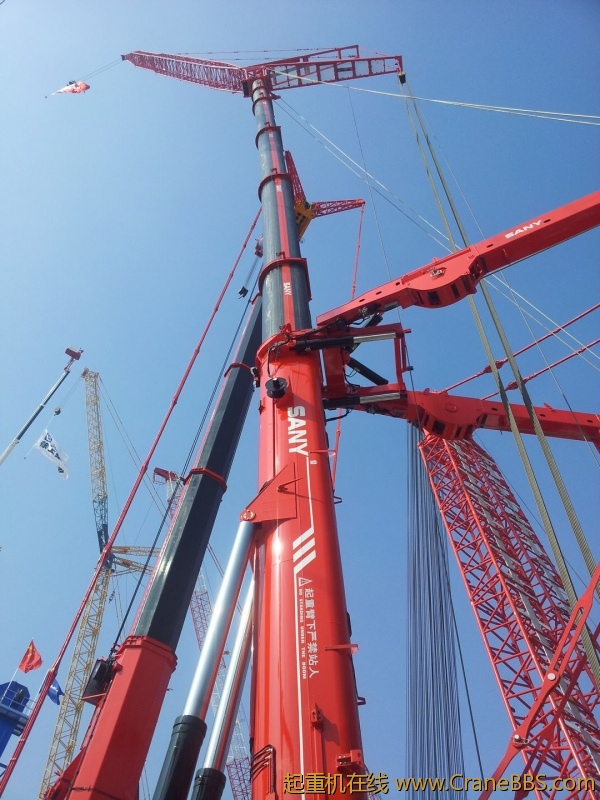 20121127_113441.jpg