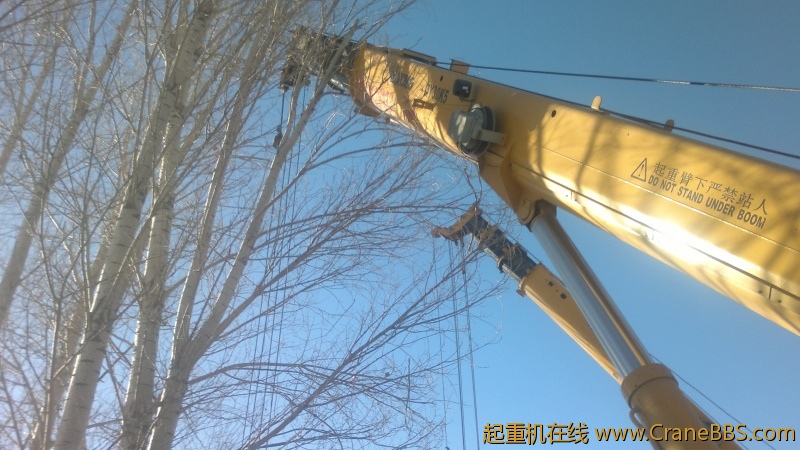 2012-11-28-8007.jpg