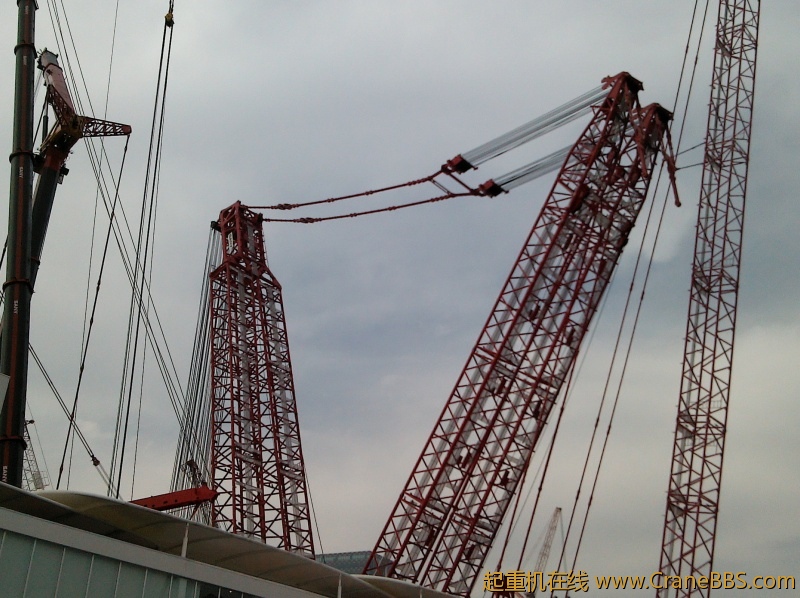 旋转 YP20121128132013.jpeg