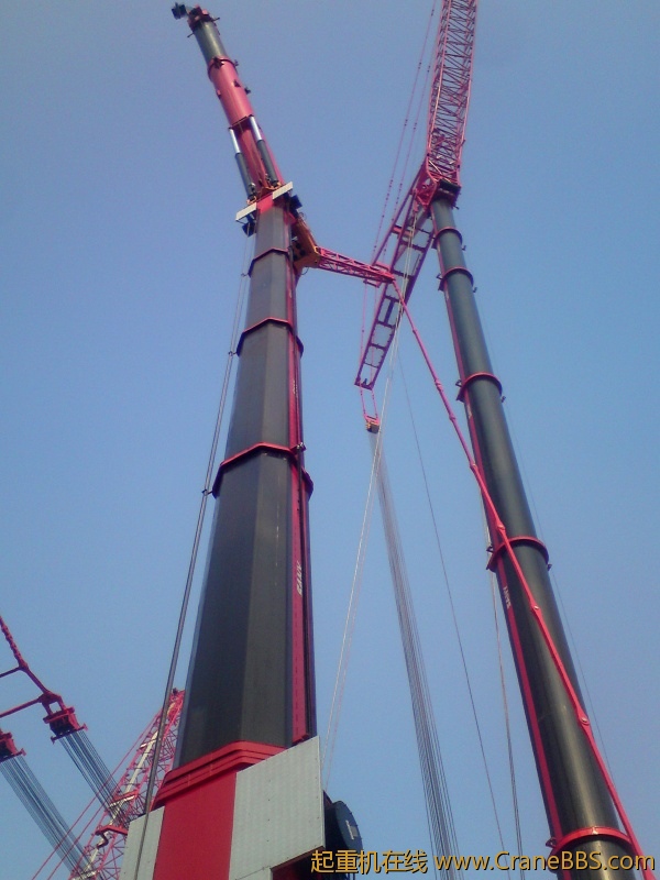 DSC01479.JPG