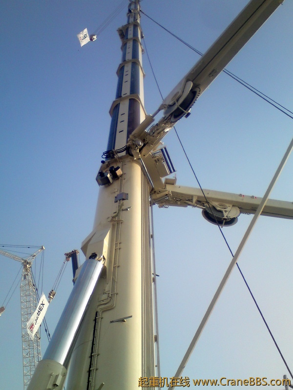 DSC01466.JPG