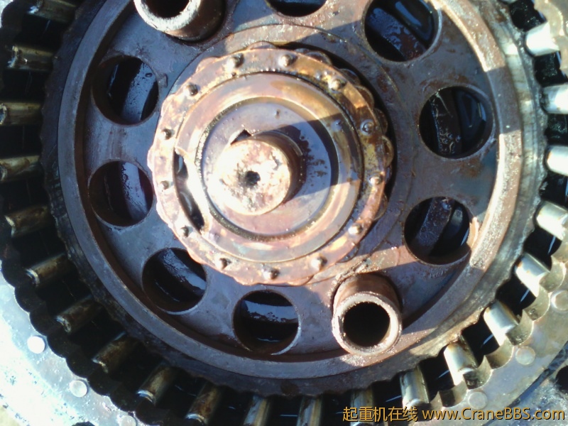 IMG_20121129_095847.jpg