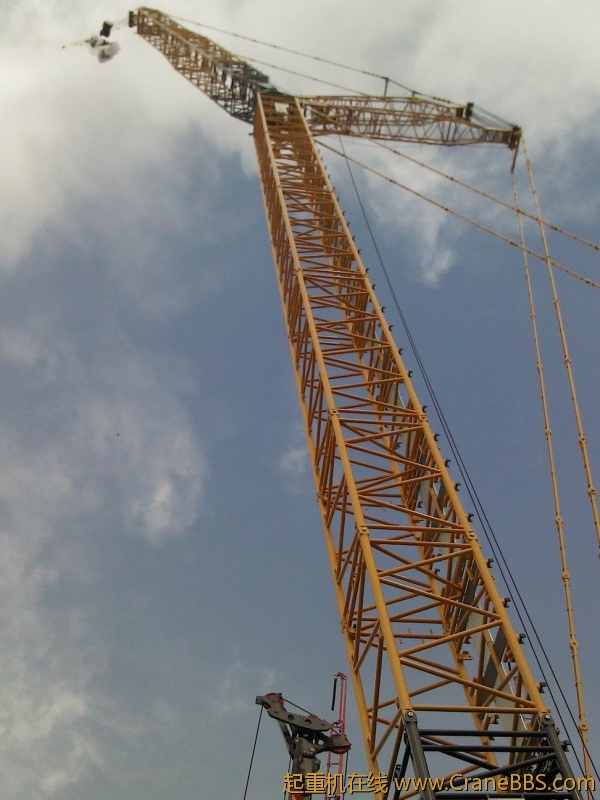 调整大小 YP20121128104830.jpeg