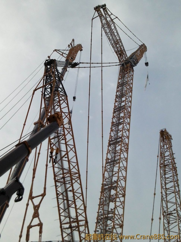 调整大小 YP20121128105421.jpeg