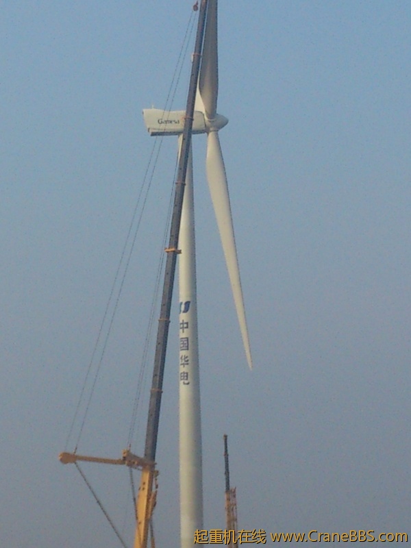 DSC_0098.jpg