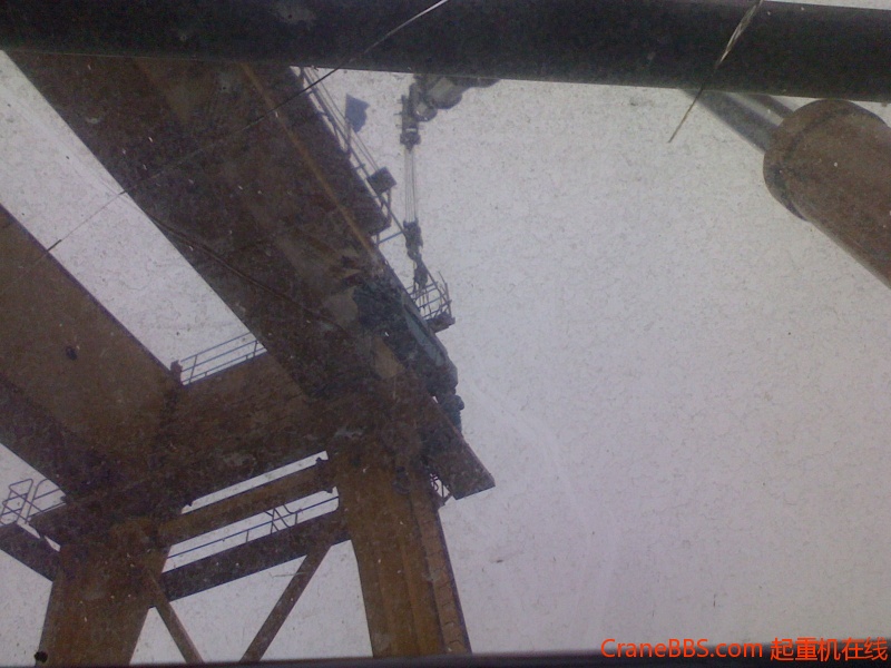 IMG1129164600.jpg