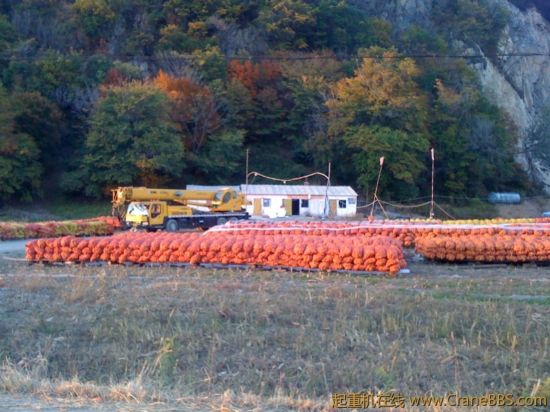 手机照片 165.jpg