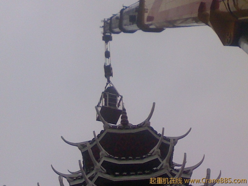 IMG1008151500.jpg