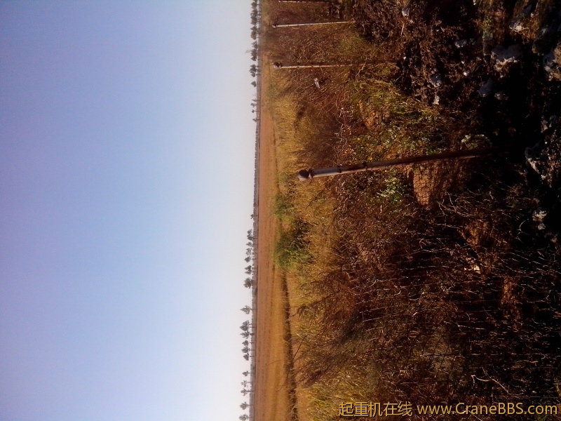 IMG_20121007_080829.jpg