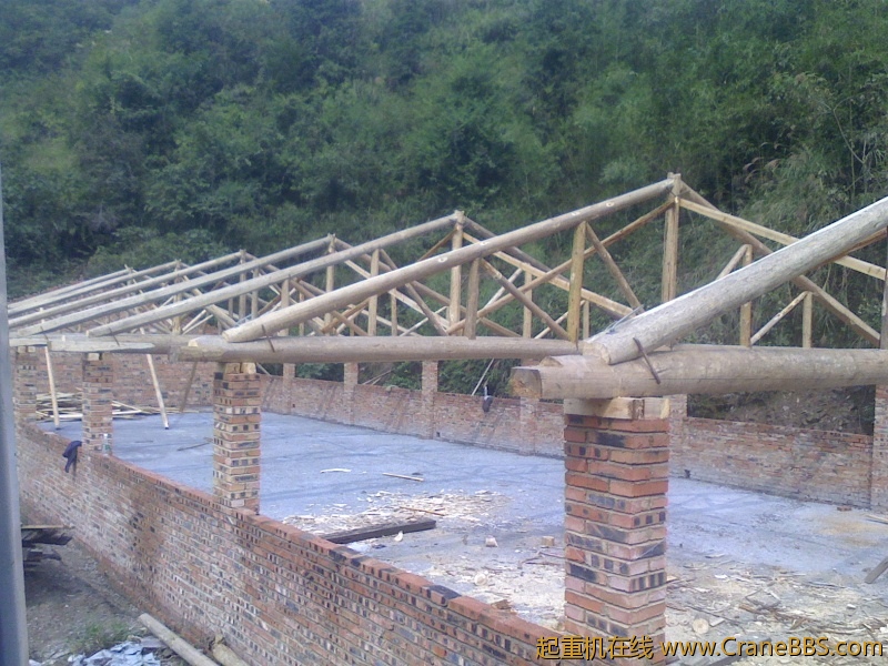 IMG1010105001.jpg
