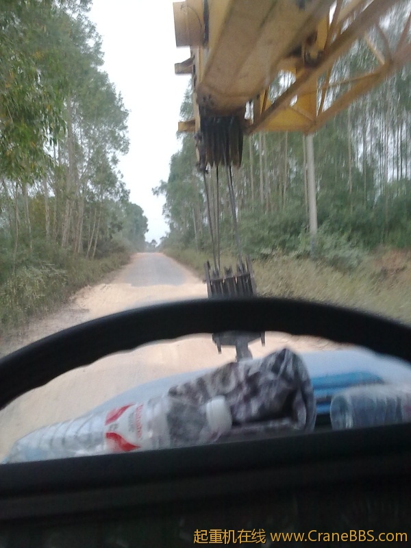 20121006461.jpg