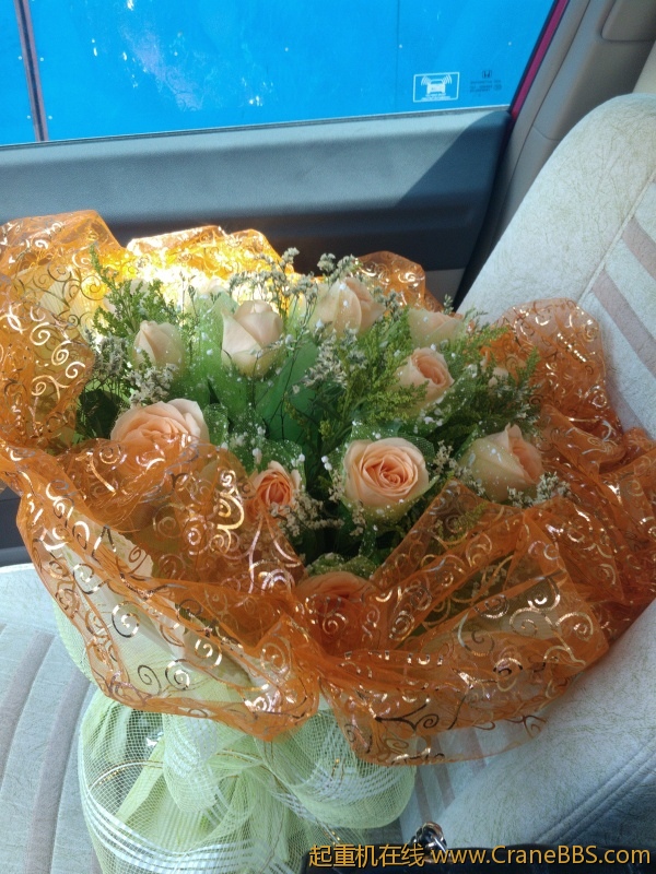 IMG20121010121237.jpg