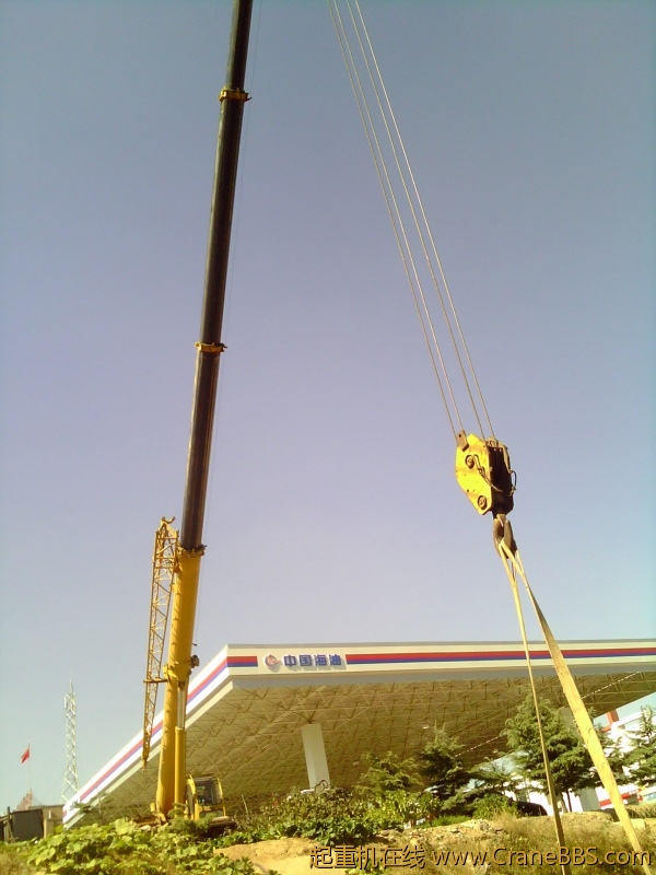IMG_20121011_102842.jpg