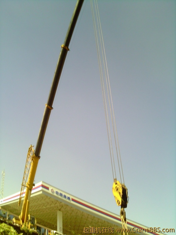 IMG_20121011_102854.jpg