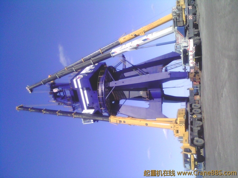 IMG0019A.jpg