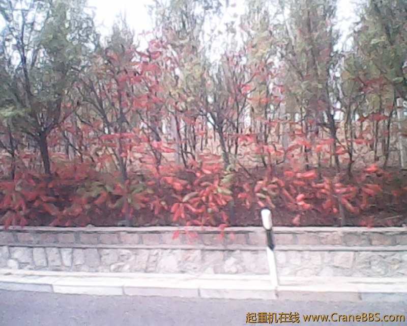photo211.jpg