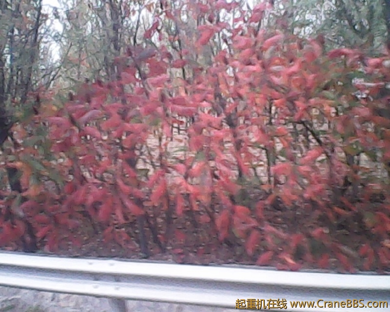 photo212.jpg