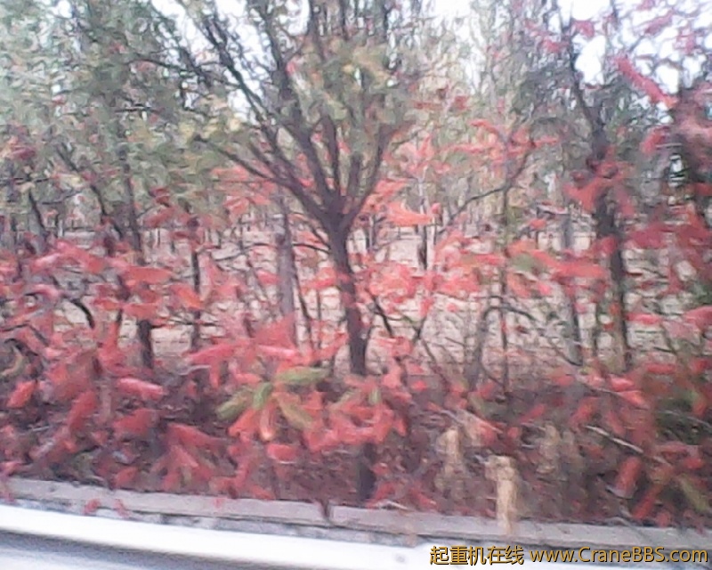 photo213.jpg