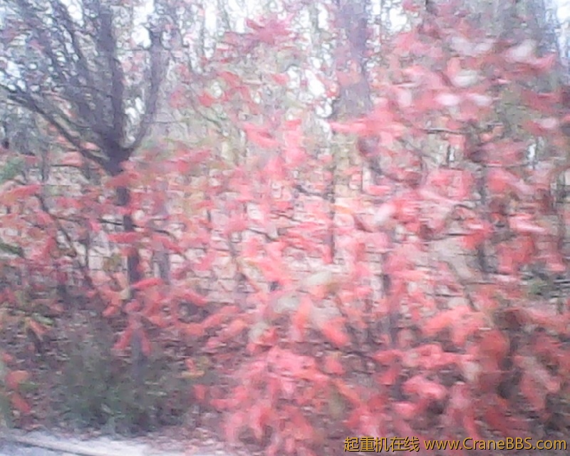 photo214.jpg