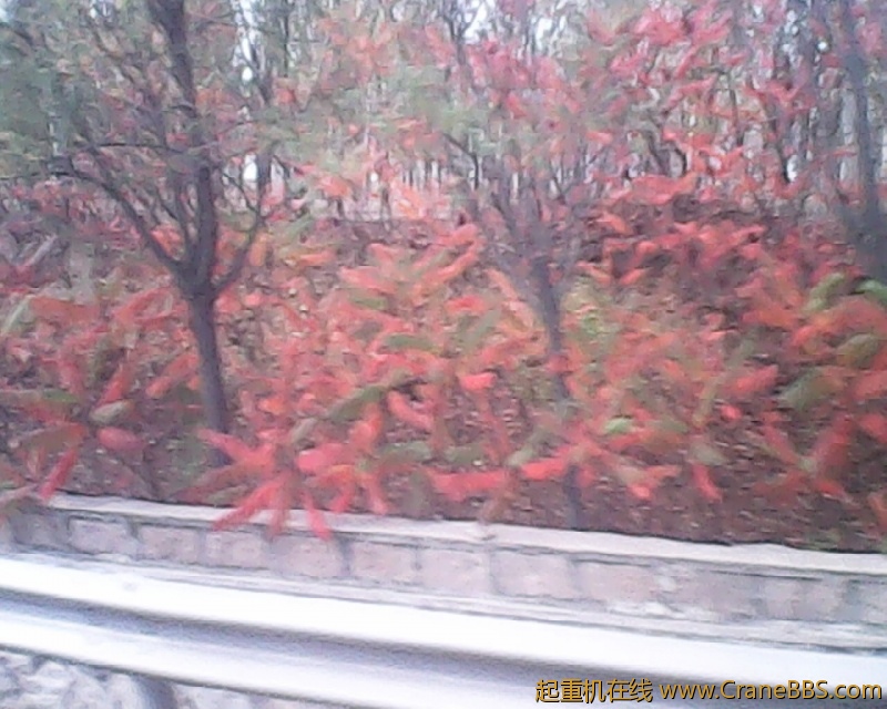 photo215.jpg