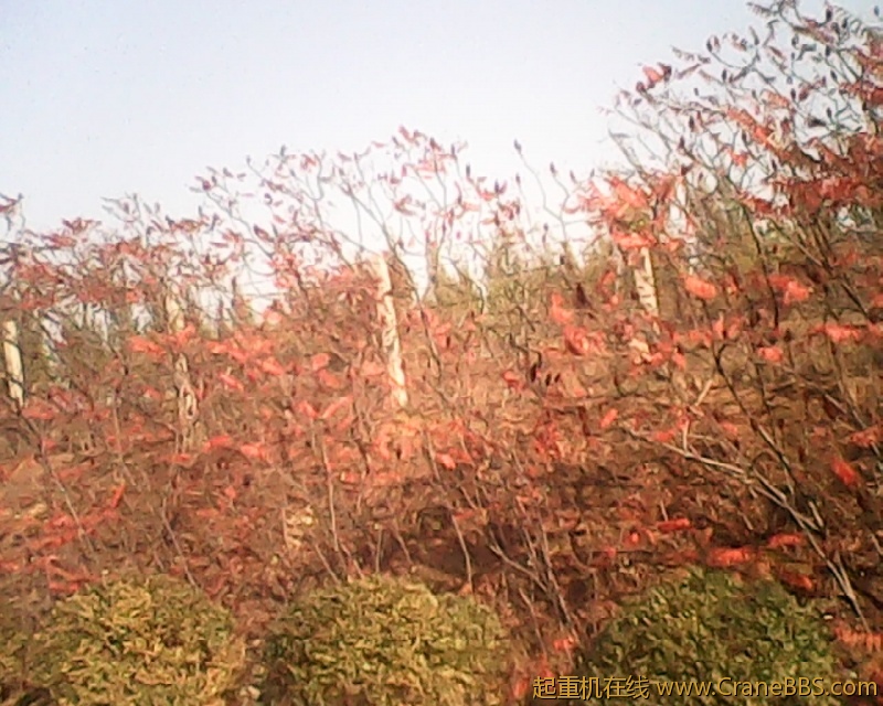 photo222.jpg