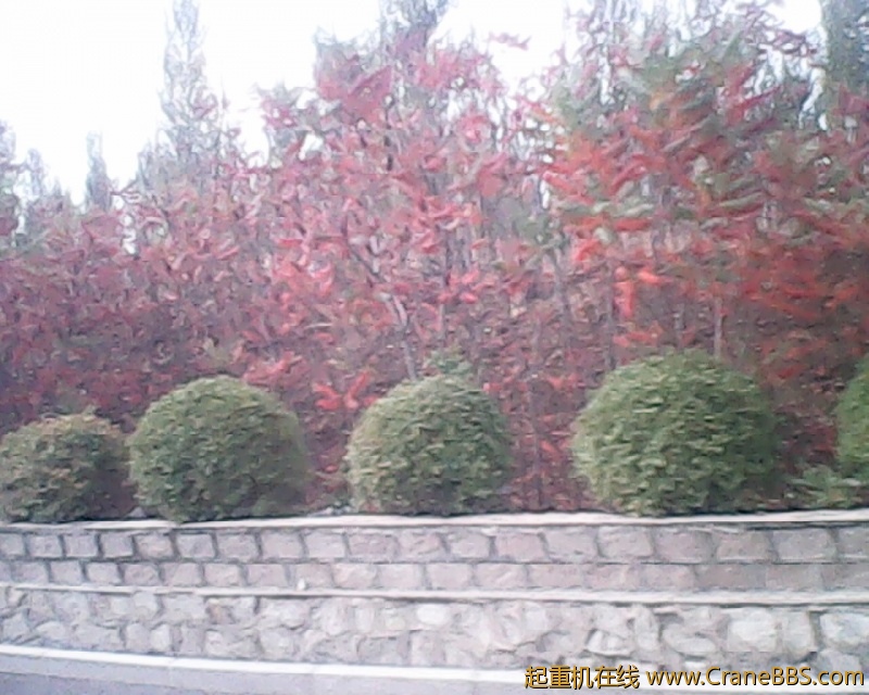 photo216.jpg
