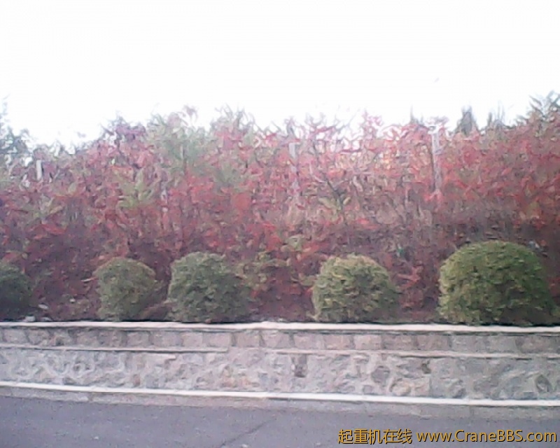 photo217.jpg