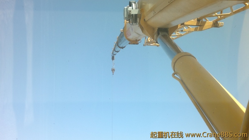 照片 007.jpg