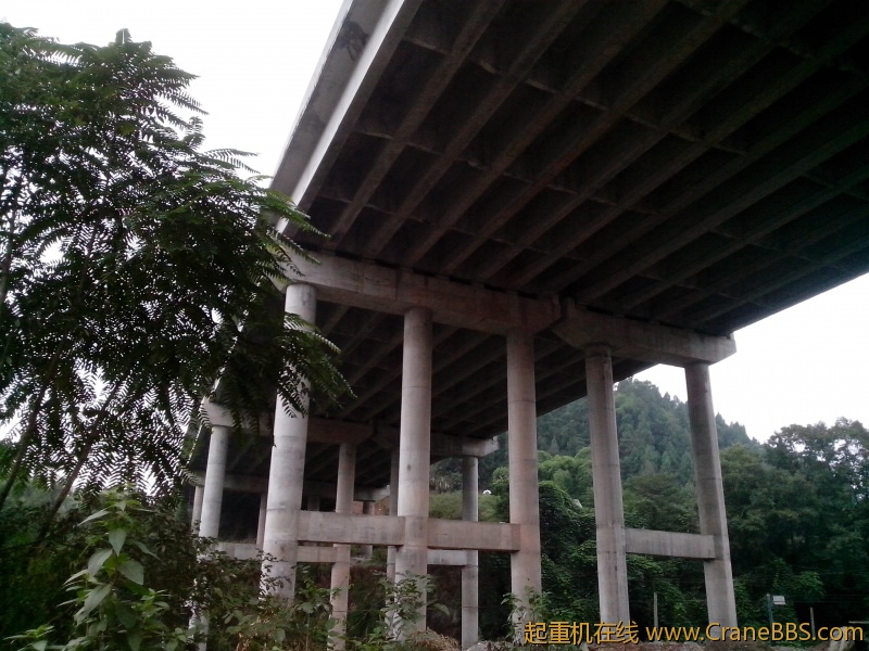 IMG_20121012_165104.jpg