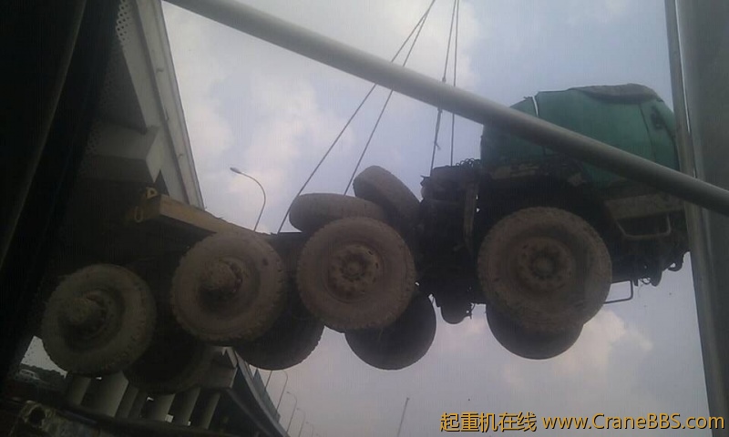 毛毛 380.jpg