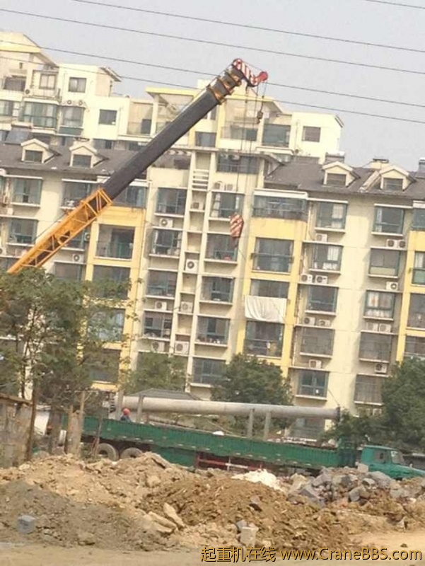 毛毛 395.jpg