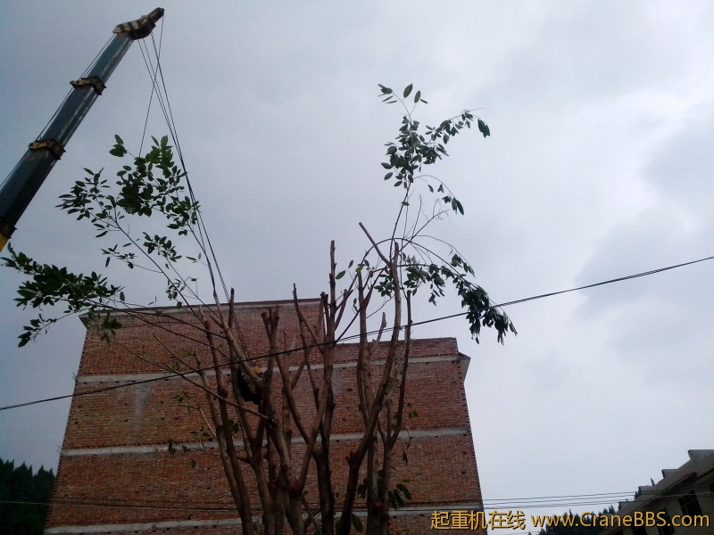 IMG_20121014_132231.jpg