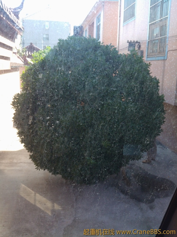 IMG20121017100650.jpg