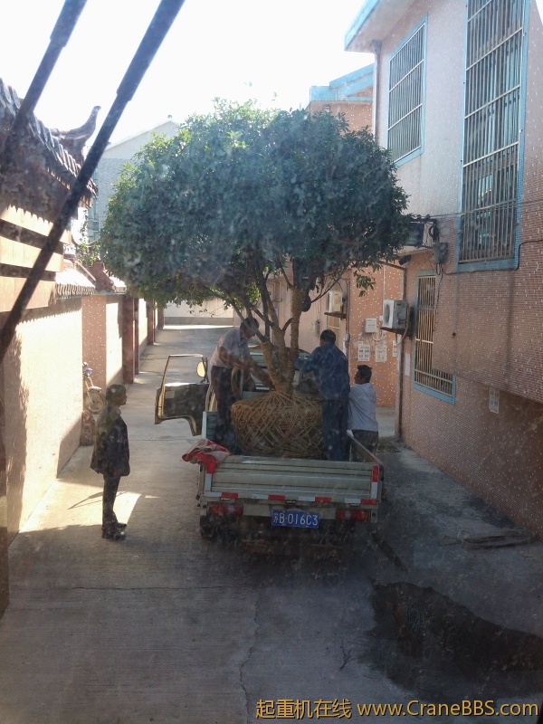 IMG20121017100417.jpg