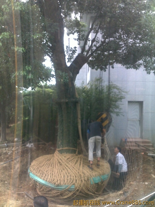 201209211677.jpg