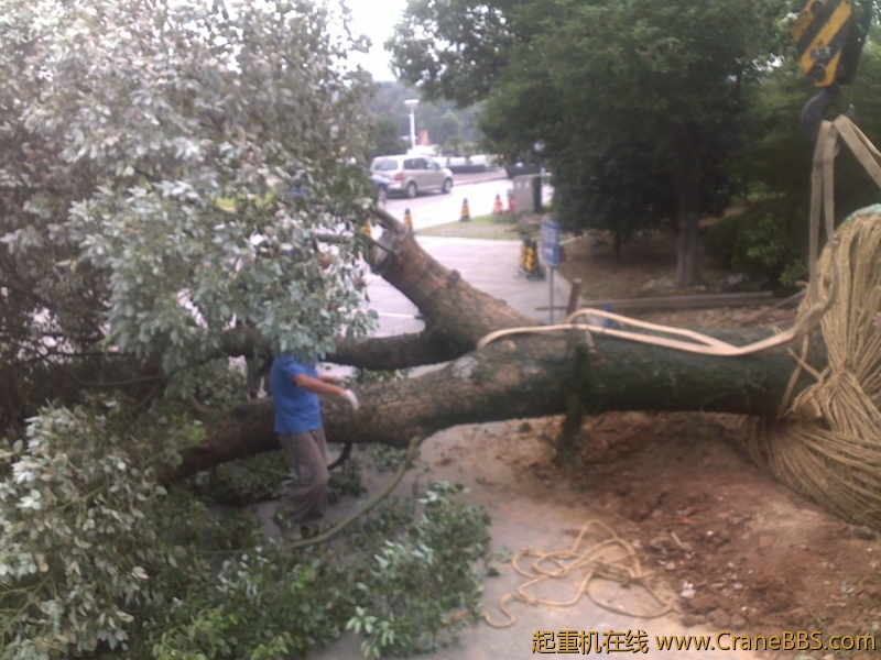 201209211680.jpg