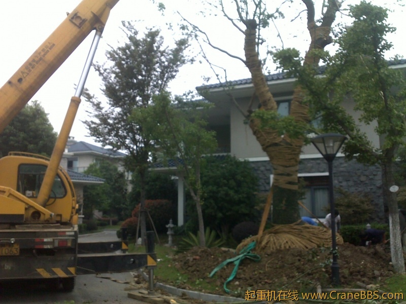 201209211685.jpg