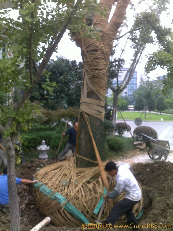 201209211683.jpg