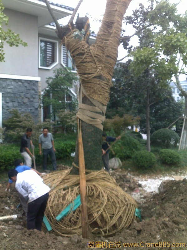 201209211684.jpg