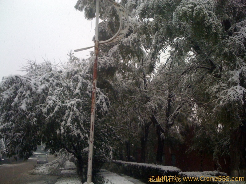 手机照片 512.jpg