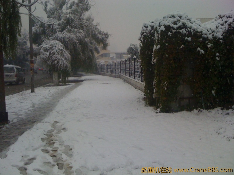 手机照片 513.jpg